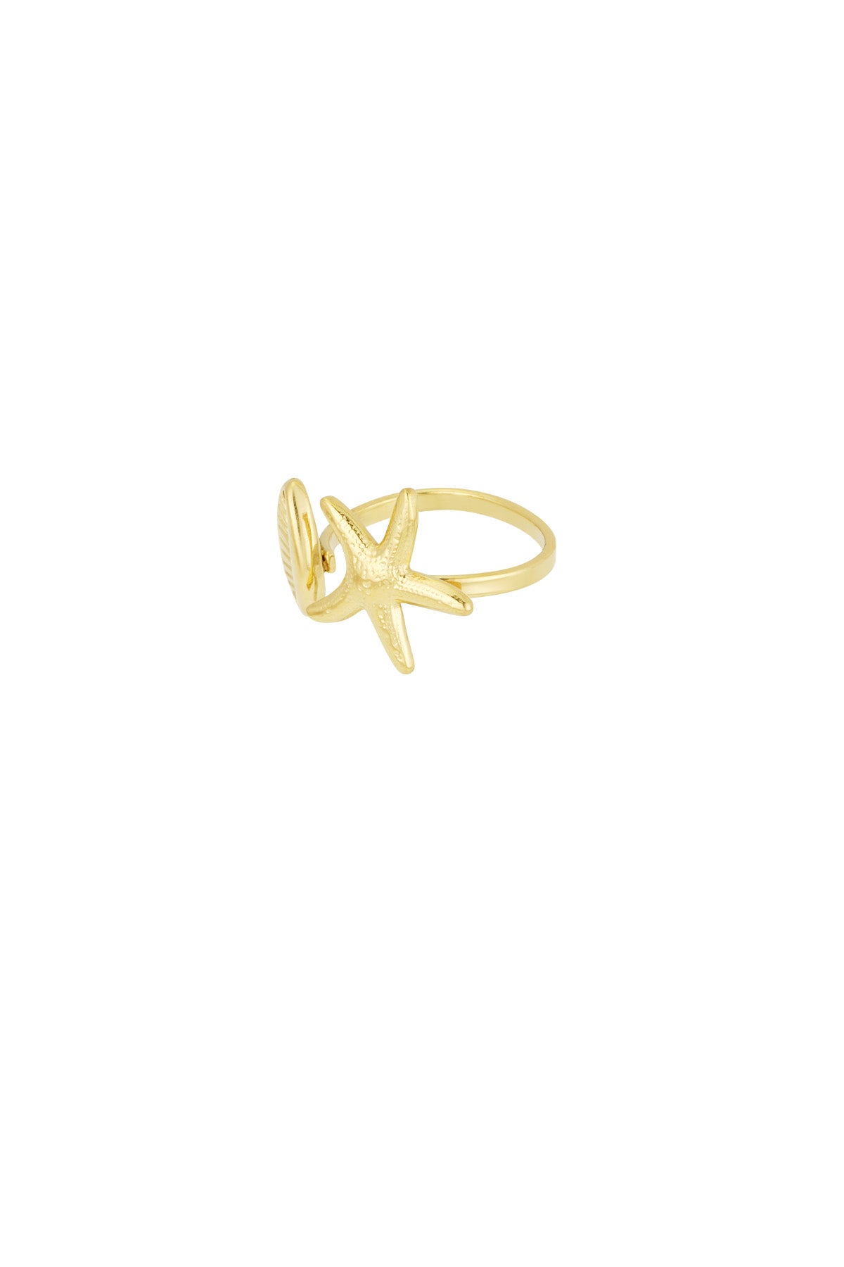 Ring mit Sommerstimmung 
